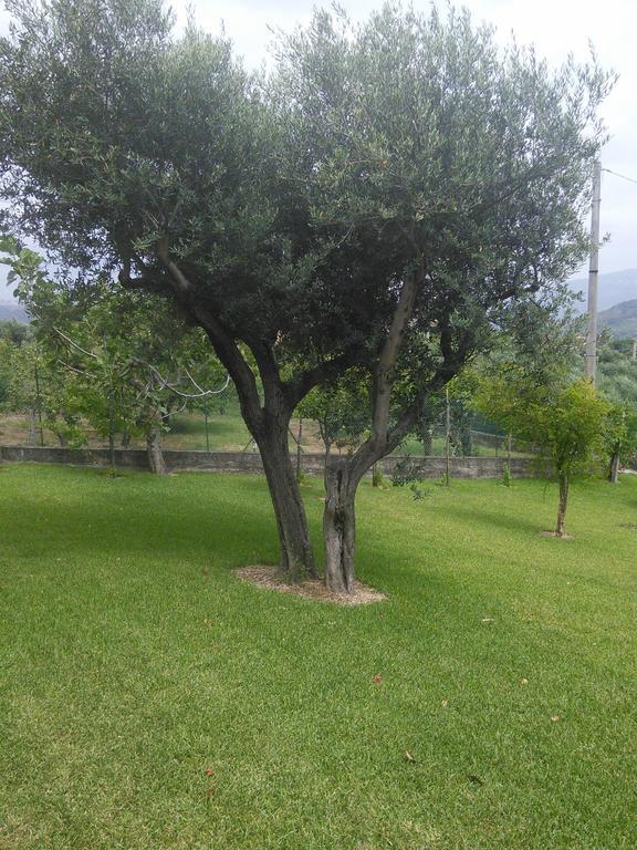 La Selva Hotel Agropoli Exterior photo