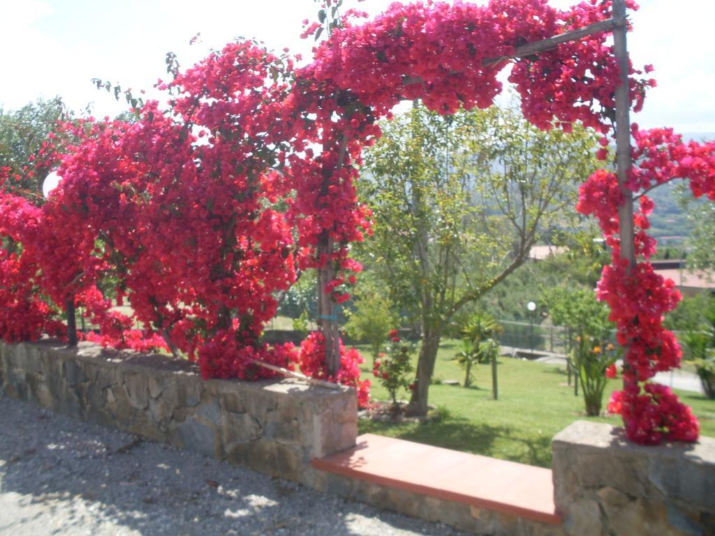 La Selva Hotel Agropoli Exterior photo