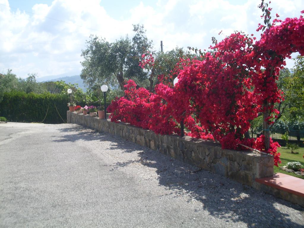 La Selva Hotel Agropoli Exterior photo